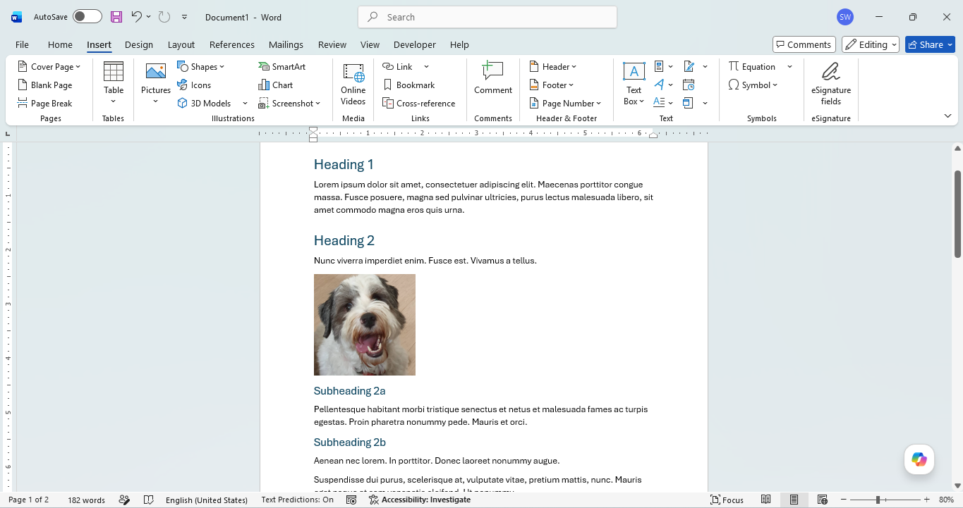 Print layout view in Microsoft Word